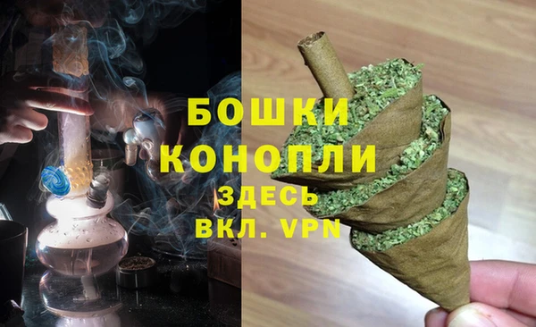 прущие крисы Надым