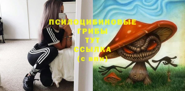 прущие крисы Нея