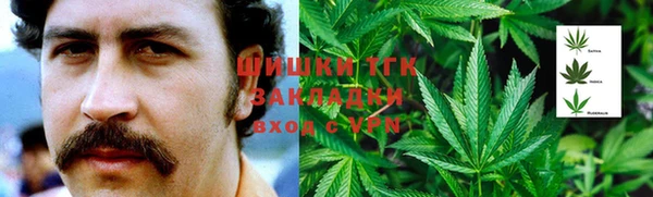 прущие крисы Надым