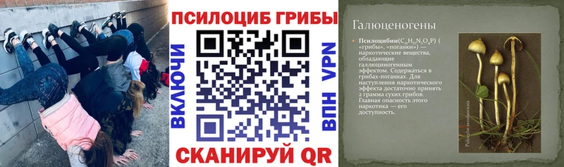 Купить  Карталы  Псилоцибиновые грибы Cubensis 